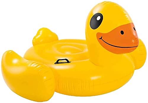 flotador pato